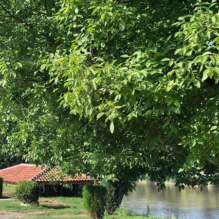 Apartmani Morava 54 Kocino Selo Екстер'єр фото